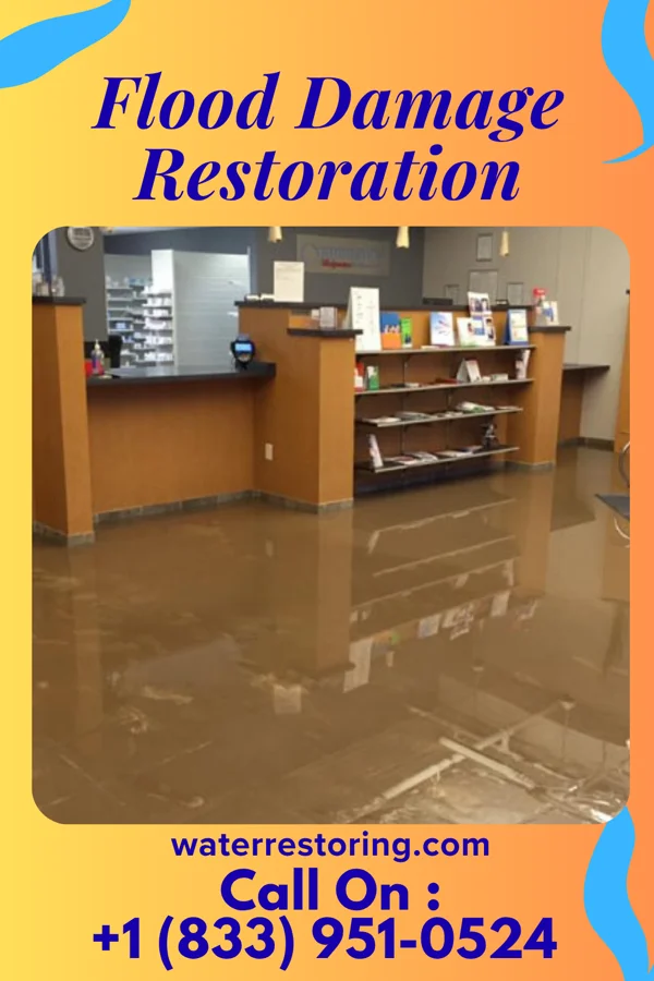 Flood Damage Restoration in Glen Allen, AL